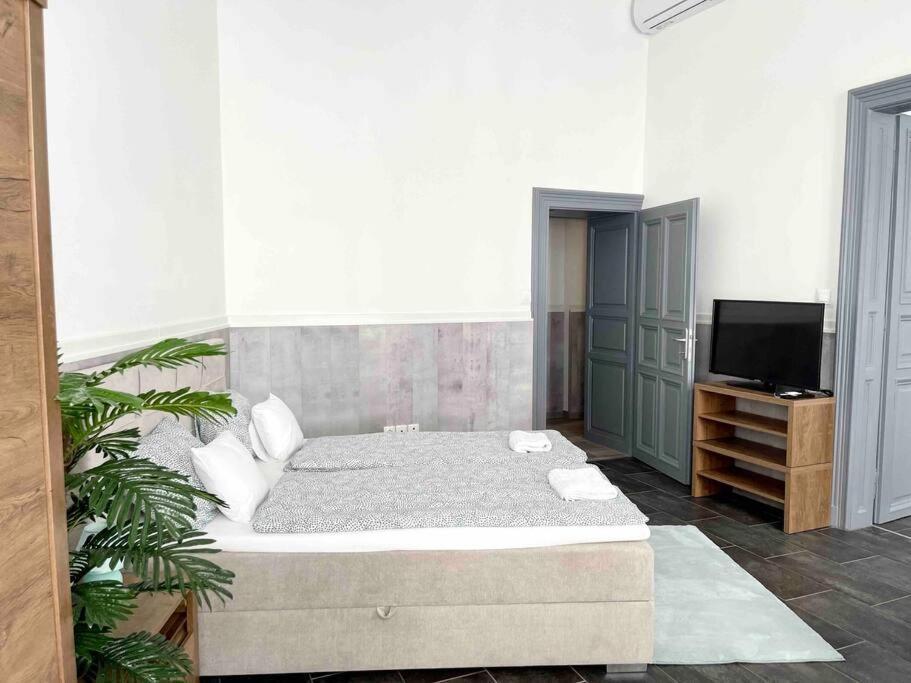D3 Basilica Luxury Spacious Free Parking For 1 Car Budapest Luaran gambar